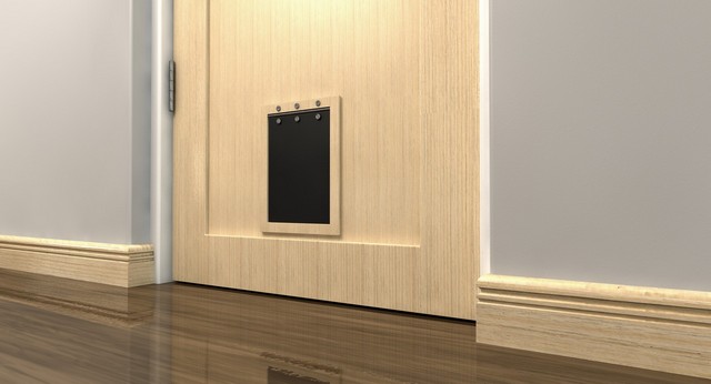 Cat Flap Installation Mortlake, SW14